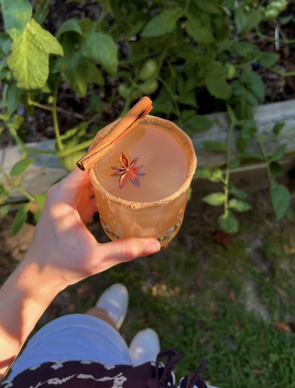 Light & Sweet Homemade Apple Cider