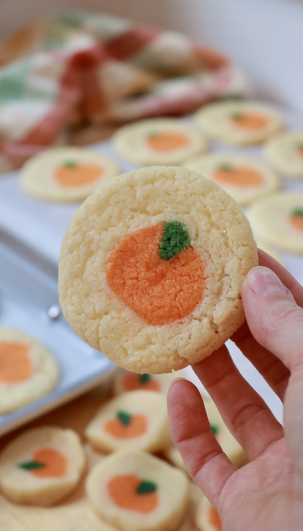 Pumpkin Slice & Bake Sugar Cookies