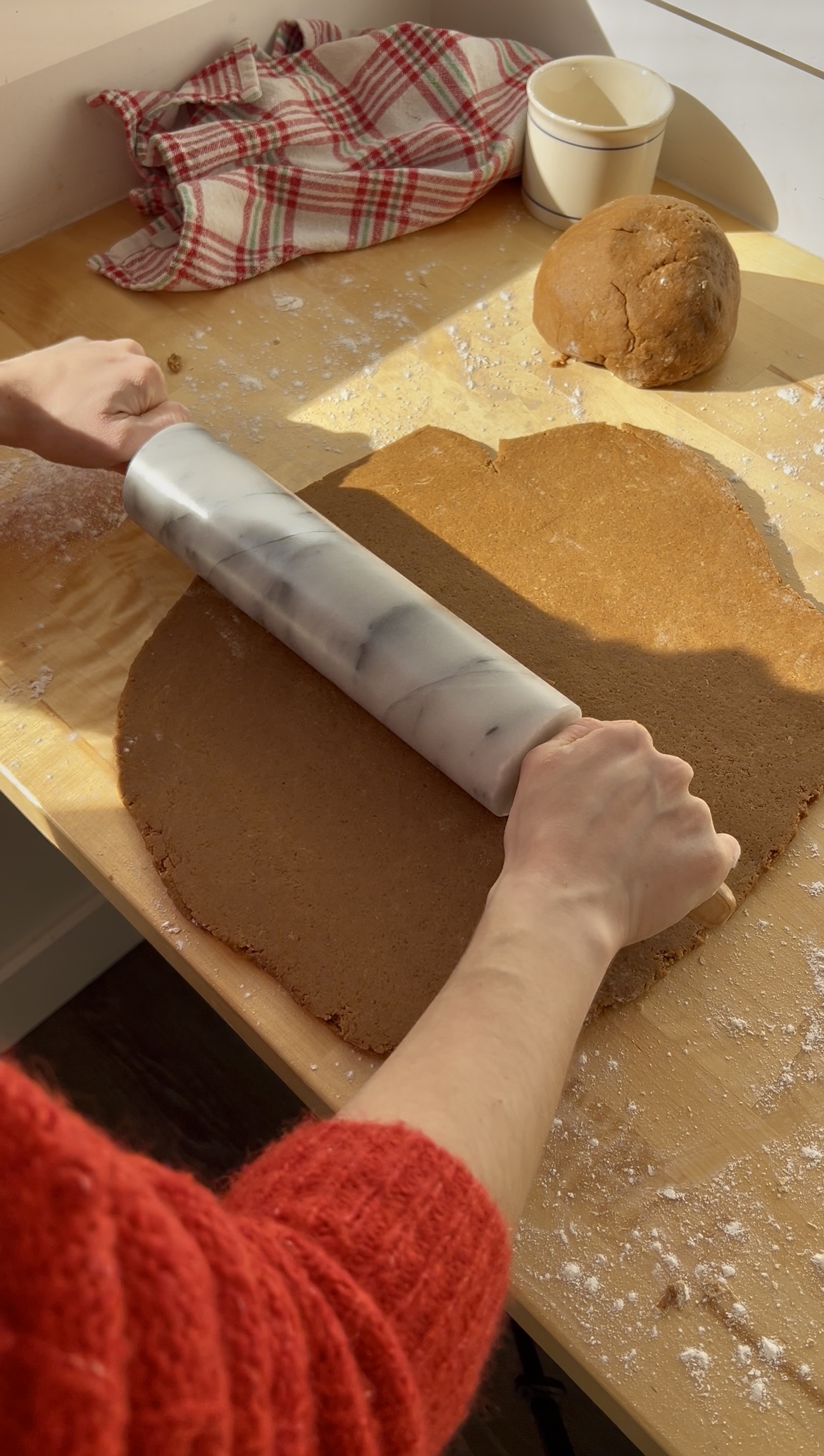 Gingerbread Cookie Dough